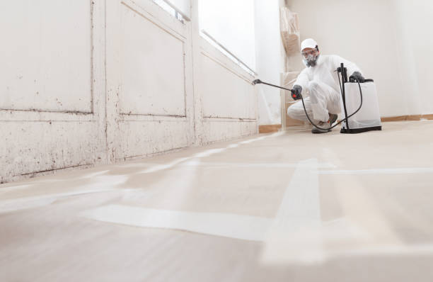 24/7 Emergency Mold Remediation experts in Lynnwood, WA