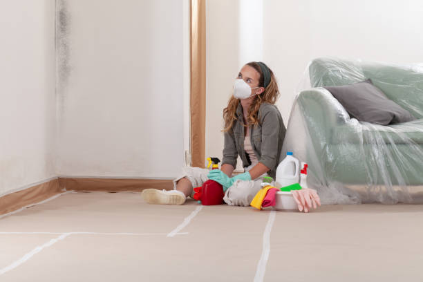 Reliable Mold Remediation contractor in Lynnwood, WA by Car Mold Remediation